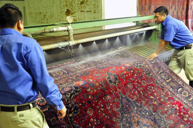 Amelia Oriental Carpet Cleaning