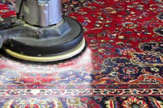 Amelia Oriental Rug Cleaning