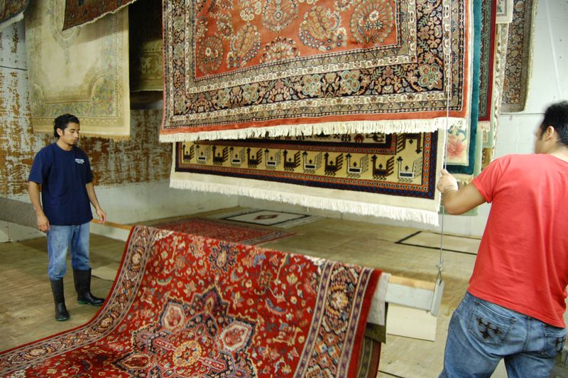 Amelia Oriental Rug Hand Washing