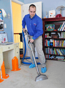 Arlington Wall To Wall Carpet Cleaning