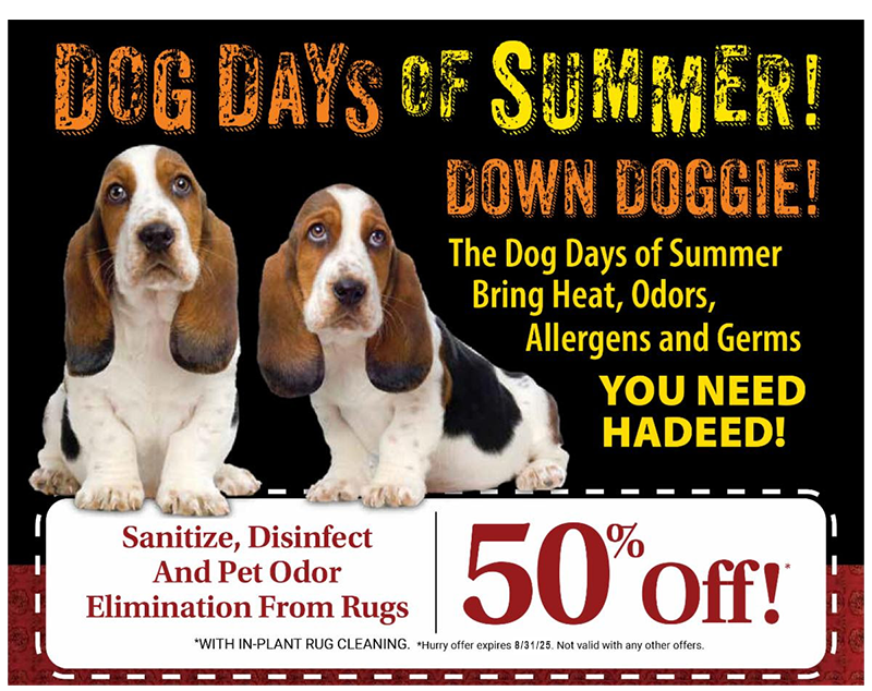 Dog Days Prompotion 2025